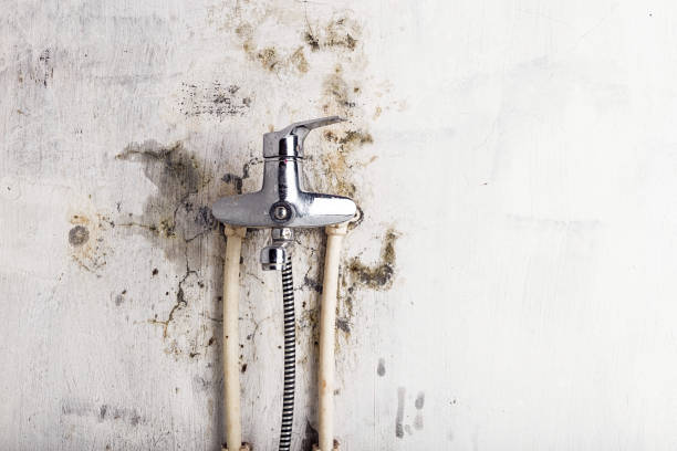 Best Emergency Mold Removal  in Catoosa, OK