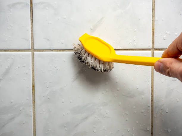 Best Mold Removal Process  in Catoosa, OK