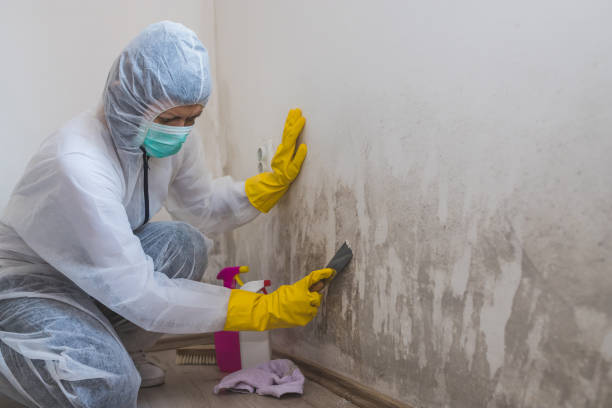Mold Removal Process in Catoosa, OK