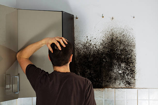Best Crawl Space Mold Removal  in Catoosa, OK